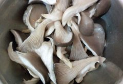 食品重金属检测仪：蘑菇喜欢富集重金属？